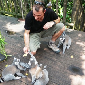 Wrestling with a lemur