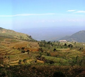 View of lower bray tea estate and mini World's End in the distance