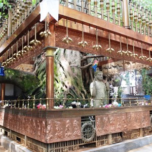 Buddha meditated under the Mahabodhi tree; at the Gangaramaya temple.