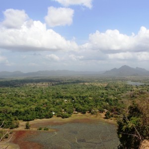 View from the top