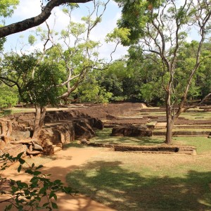 Part of the water gardens