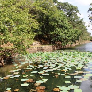 The moat surrounding Sigiriya