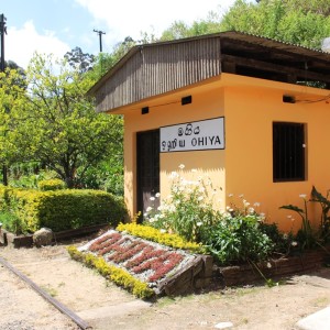 Ohiya Train Station