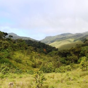 Horton Plains