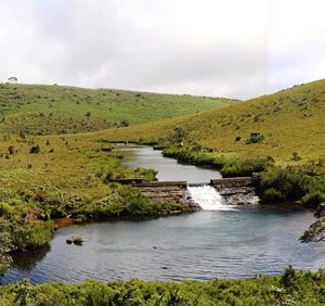 Waterway Horton Plains