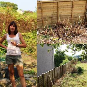 Dealing with bamboo infestations