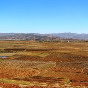 Vast agricultural lands cover the riverine valleys