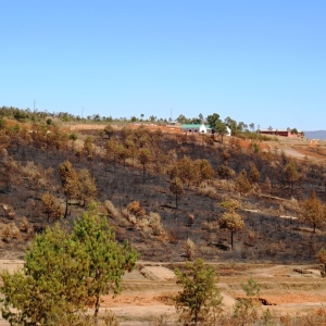 Burning before the wet season persists everywhere