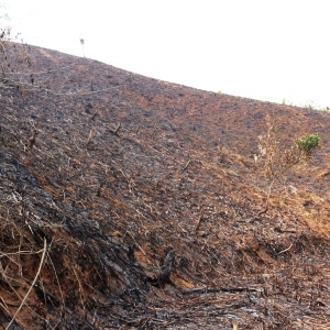 Burning and clearing on steep slopes for farming