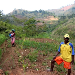 Proud local farmer practicing Agroforestry