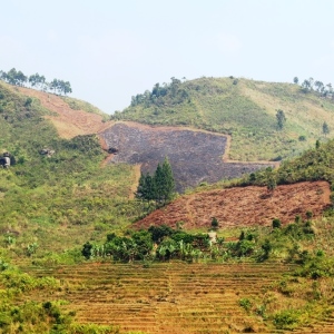 Sadly some neighbours still clear and burn their lands