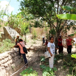 Inspecting the garden