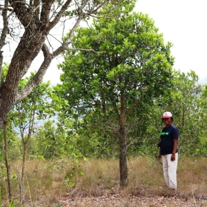 Eugenie with a Tapia tree she planted in 2003