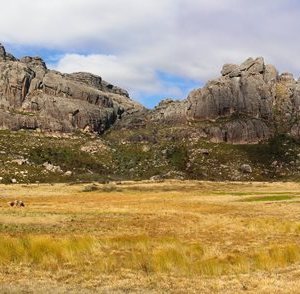 Vast grass plains on the plateau