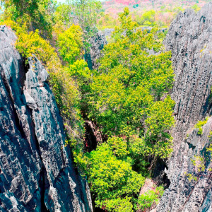 View down from the suspension bridge