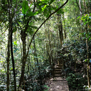 part of entrance to reserve