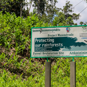 protecting the forests