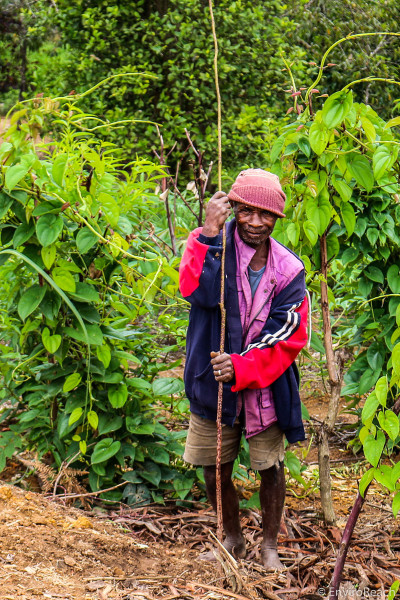 vulnerable household farmer