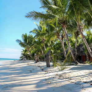 beach at Sambatra Beach Lodge