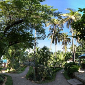 Gardens Chez Alain