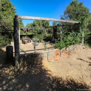 the arboretum nursery