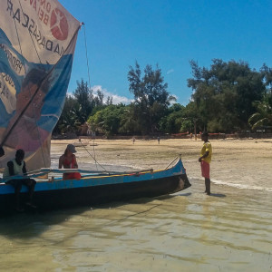 snorkelling boat trip