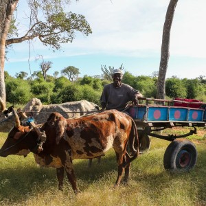 our ride to the spiny forest