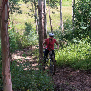 serious mountain biking