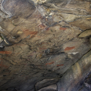 rock paintings by San people